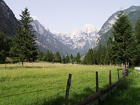 Pogled na dolinu u Julijskim Alpama