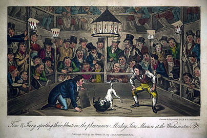 Jacco Macacco în Westminster-Pit 1821.