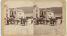 Donkeys packed on the way to a mine in Alma, Colorado, late 1880s.