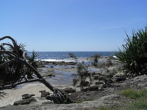 Ausblick vom Woody Head auf die Tasman-See