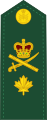 Brigadier-general (French: Général de brigade) (Canadian Army)[17]