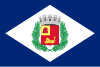 Flag of Rio Claro