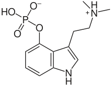 Kekulé, skeletal formula of canonical psilocybin