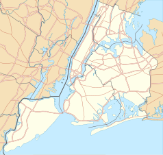 Mapa konturowa Nowego Jorku, w centrum znajduje się punkt z opisem „East Village”