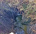 Concretization of Matadero Creek's banks (in back of shot) accelerates stream flows, causing severe channel incision which is now threatening Page Mill Road below the Arastradero Road intersection Jan. 2011