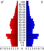 Bevolkingspiramide Wood County