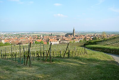 Vue sur le village de Dambach-la-Ville depuis la chapelle Saint-Sébastien.