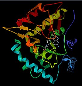 Image illustrative de l’article Phénylalanine hydroxylase