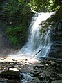 View of the Upper Falls