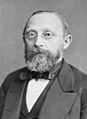 Rudolf Virchow, physician anthropologist, pathologist, prehistorian, biologist, father of modern pathology