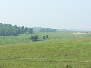 Padang rumput Mongolia Dalam