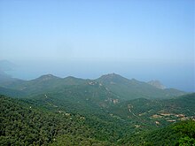 Annaba (2).jpg