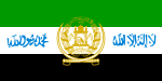 Vlag van Afghanistan, 2001 tot 2002