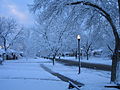 Image 4Snow in Rose Park, Salt Lake City (from Utah)