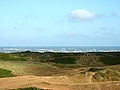 Dünen auf Langeoog