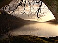 Image 26Loch Lomond in Scotland forms a relatively isolated ecosystem. The fish community of this lake has remained stable over a long period until a number of introductions in the 1970s restructured its food web. (from Ecosystem)