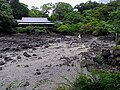 楽寿館と小浜池、湧水が枯渇している（2008年6月18日撮影）