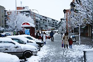 Vista hivernal