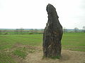 Menhir Zkamenělý pastýř (Versteinerter Hirte) bei Klobuky, Tschechien