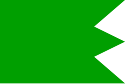 法蒂玛王朝国旗
