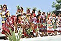 Baile Flor de Piña, a traditional dance evoking the delicate of pineapple blossoms