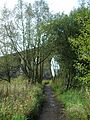 Sankey Viaduct seen from the Sankey Valley Country Park.