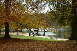 Bois de la Cambre/Ter Kamerenbos