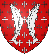 Counts of Salm-en-Vosges