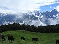 Alpages à Auli. La transhumance régit encore la vie des éleveurs des vallées les plus isolées.