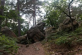 Rochers au mont Ussy dans la forêt, en mai 2018.
