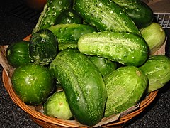 Pickling cucumbers