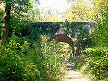 Pont du Diable : pont de pierre piétonnier recouvert de lierre, au-dessus d'un autre sentier piétonnier en forêt de Montmorency