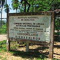 Crocodile nursery located inside the Lagunas de Chacahua National Park in Oaxaca, MX