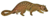 Two-spotted palm civet