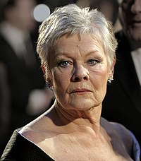 Una fotografía de Judi Dench mientras mira directamente a la cámara.