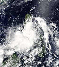 6月8日的熱帶風暴莎莉嘉
