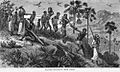 Arab slave traders and their captives near the Ruvuma (Rovuma) river in today's Tanzania and Mozambique, then under Portuguese rule (1866).