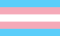 Det kvite i transflagget står for ikkje-binære personar.[20]