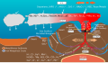 This diagram shows the chemical movement at a deep sea vent on the ocean floor.