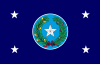 德克薩斯州州長旗