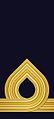 Embroidered shoulder mark (Navy) (?–present)