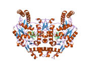 1zzr: Rat nNOS D597N/M336V double mutant with L-N(omega)-Nitroarginine-(4R)-amino-L-proline amide bound