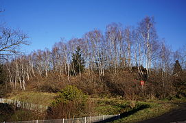 Another view of the slag heap.