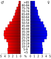 Bevolkingspiramide Queens County