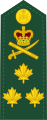Знаки розрізнення генерал-лейтенанта Канадської Армії
