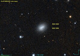 NGC 3566