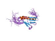 2cql: Solution structure of the N-terminal domain of human ribosomal protein L9