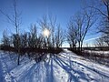 View of the setting sun from the Leslie Spit in winter