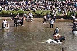 Washing horses in the River Eden