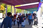 students seek shelter from the sun under the solar energy plates